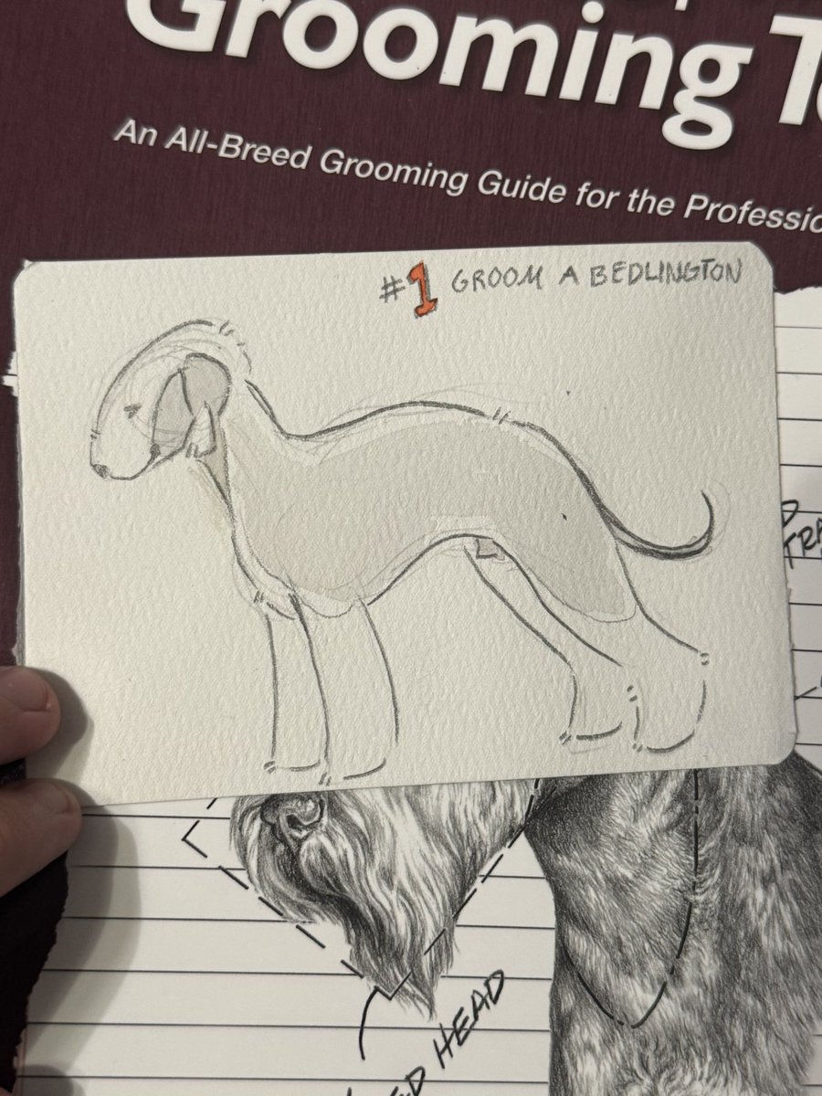 Rex 🪼 tweet media