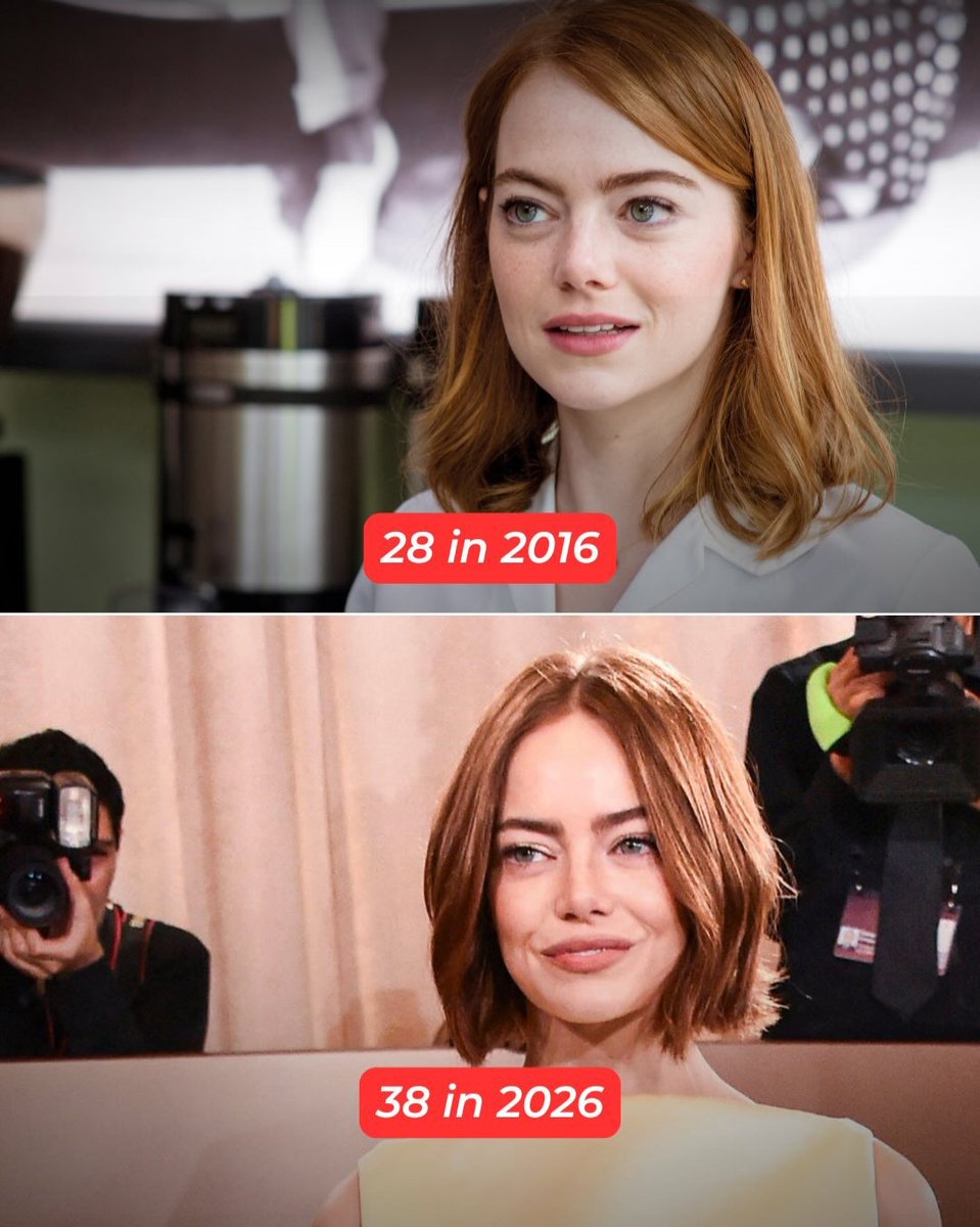 thecinelost's tweet image. 