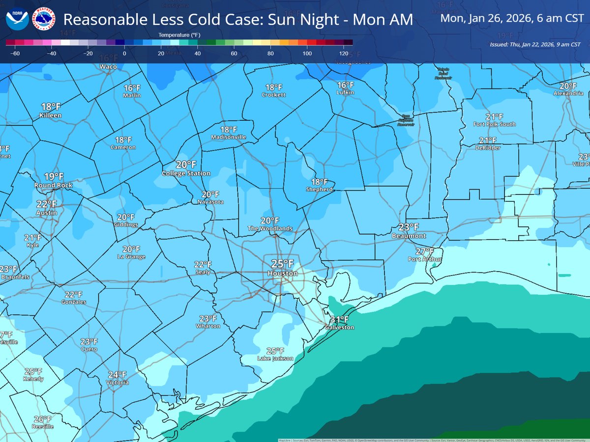 NWSHouston's tweet image. Reasonable best/worst case scenarios for Sun night–Mon AM low temperatures.

Less-cold scenario still results in a hard freeze away from the coast and outside the urban heat island.

Higher uncertainty in our northern zones as indicated by the very large temperatures range.