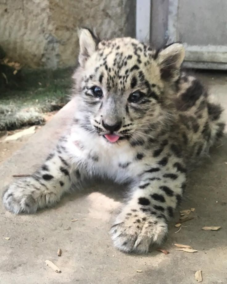 my chud son he is 5 seconds old