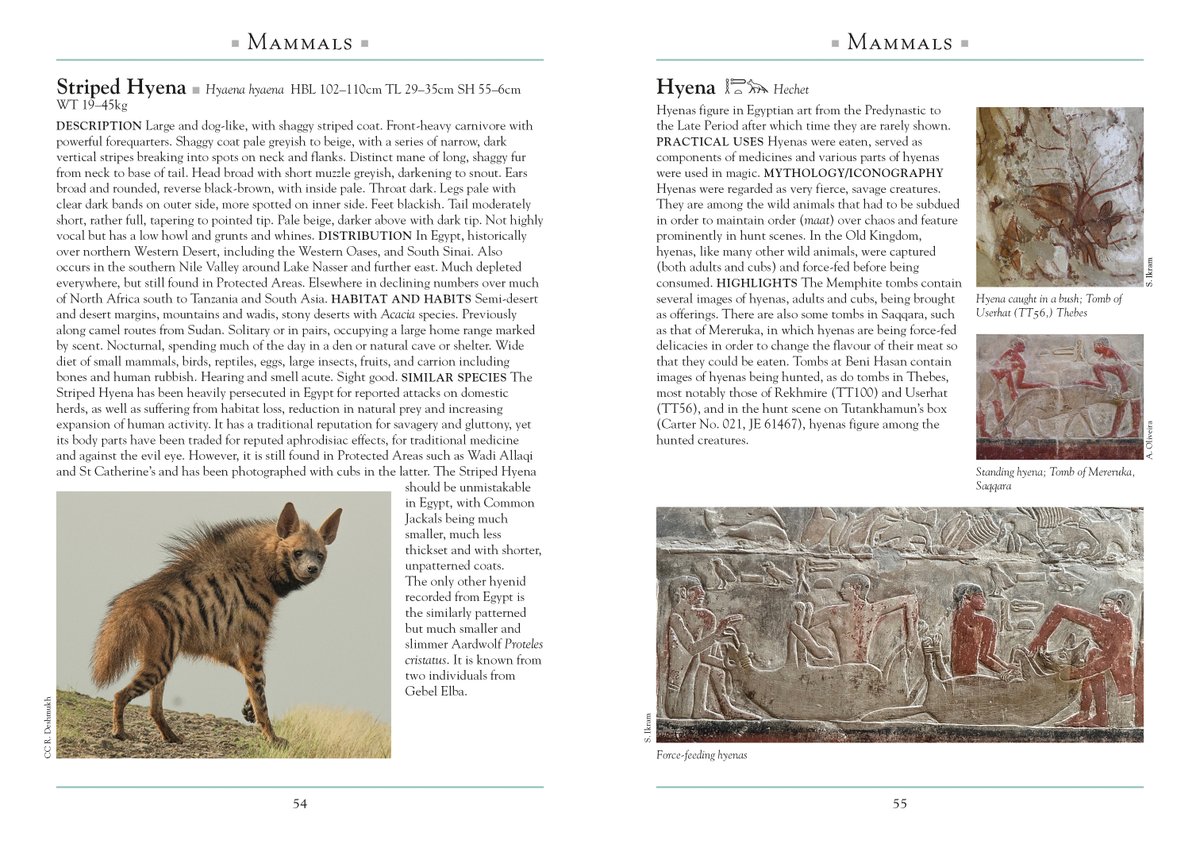 John Beaufoy Publishing tweet media