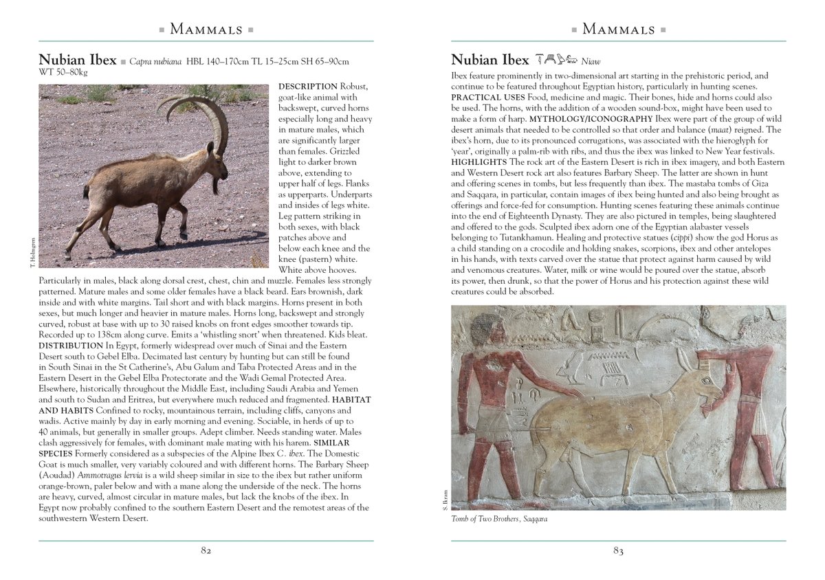 John Beaufoy Publishing tweet media