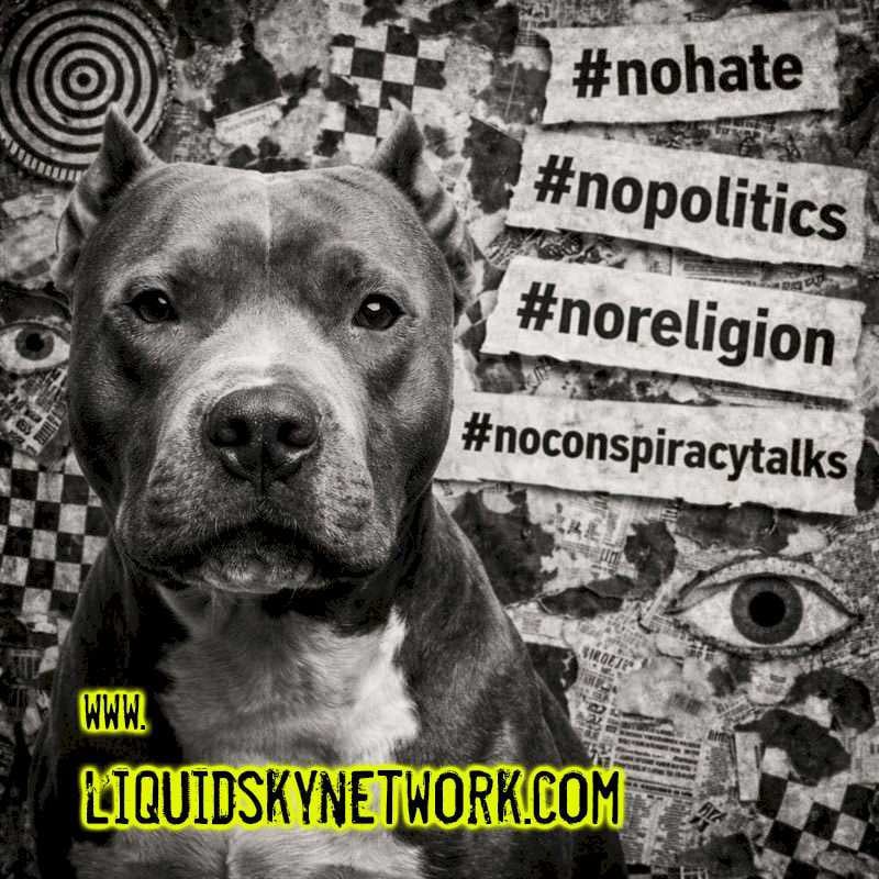 Berlin Techno Network tweet media