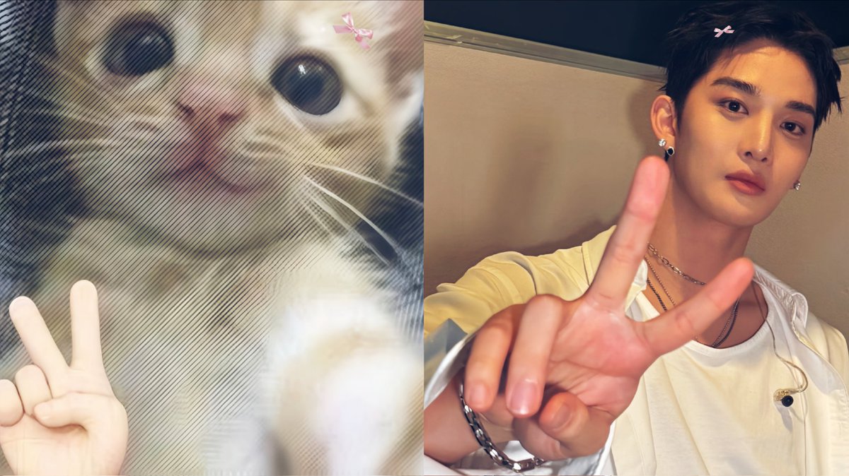 baejin__x's tweet image. Missing my kitty every single day ꒰🐾꒱

#baejinyoung
#배진영