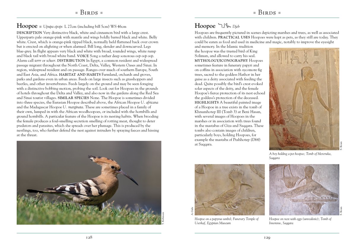 John Beaufoy Publishing tweet media