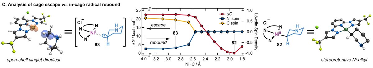 David Cagan tweet media