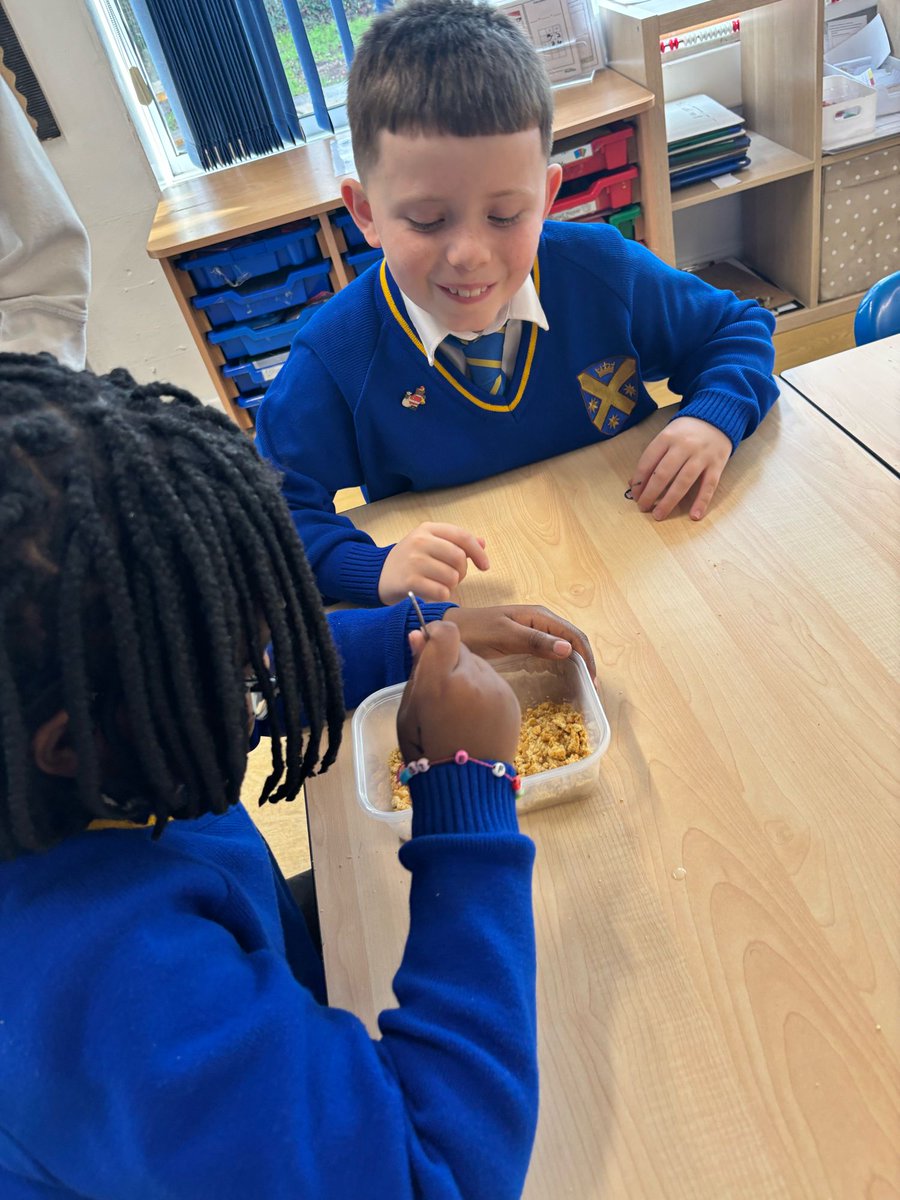 St Alban's School tweet media