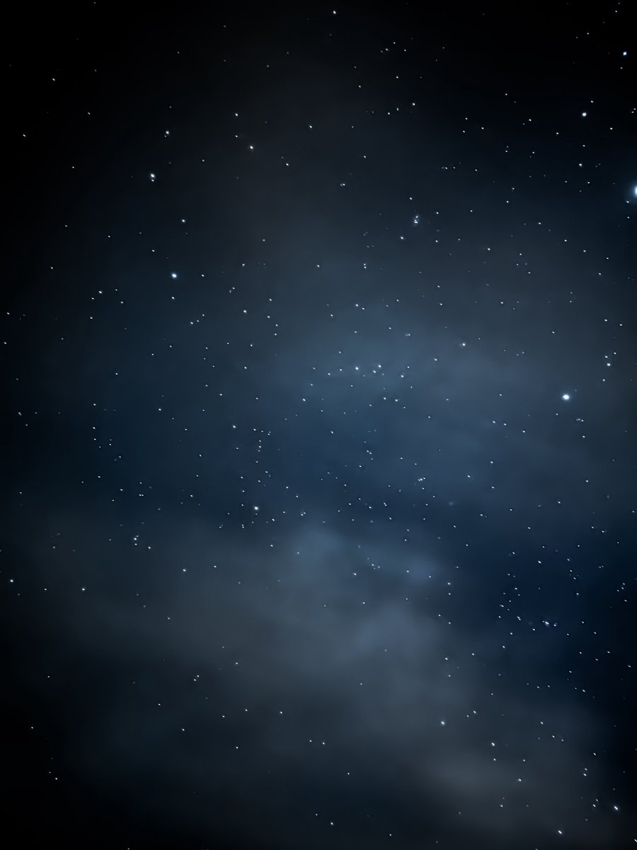 Mohammed tweet media