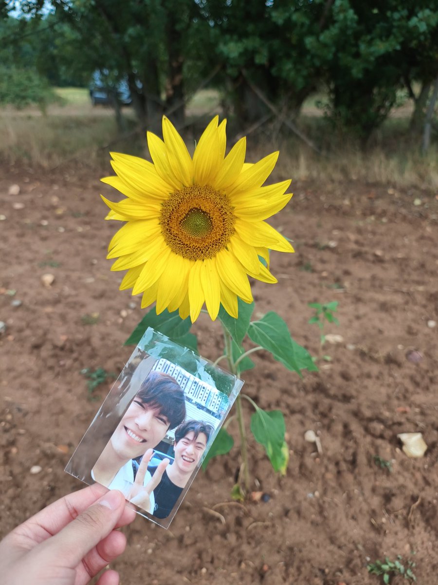 LoveMSGK's tweet photo. 23:59 HBD naka yo my all #หวานใจมิวกลัฟ family, be always happy and healthy🤍

#HBDWAANJAI6YRS 
#WaanjaiMewGulf
☀️🌻 https://t.co/uspOuRpGTt