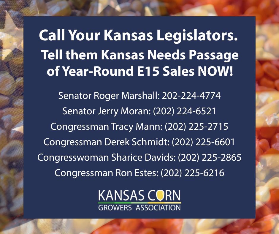 Josh Roe tweet media