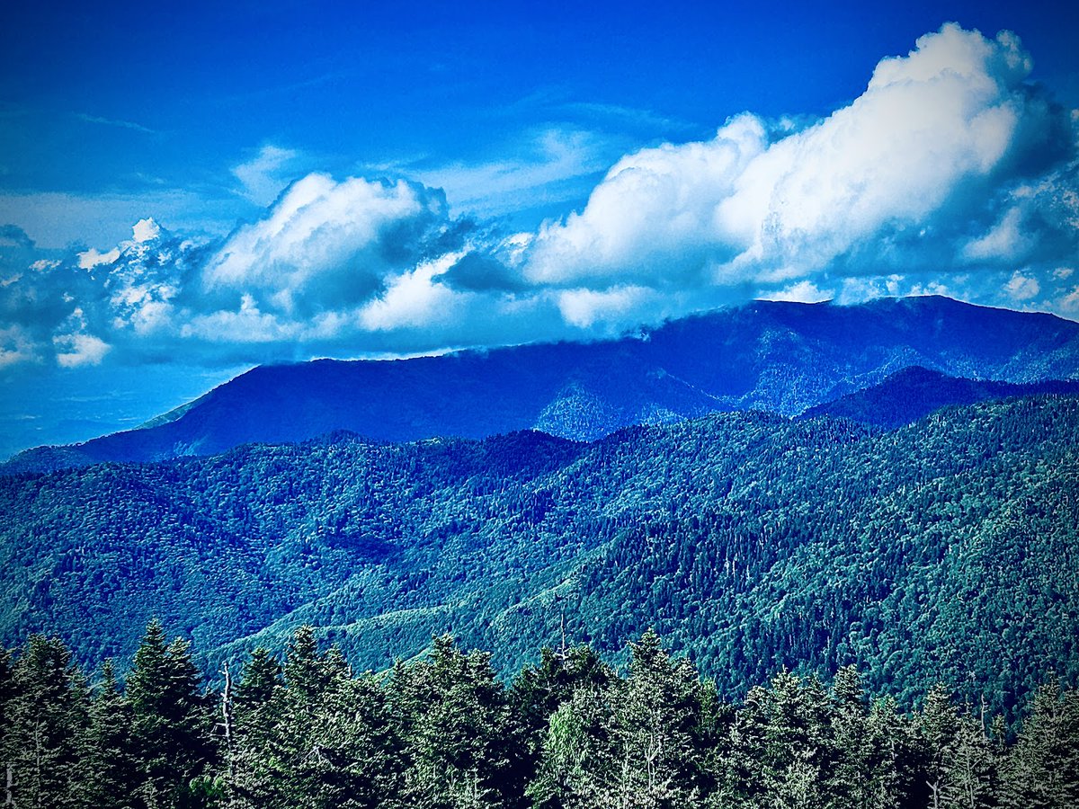 Random Public Park 🏞️ tweet media