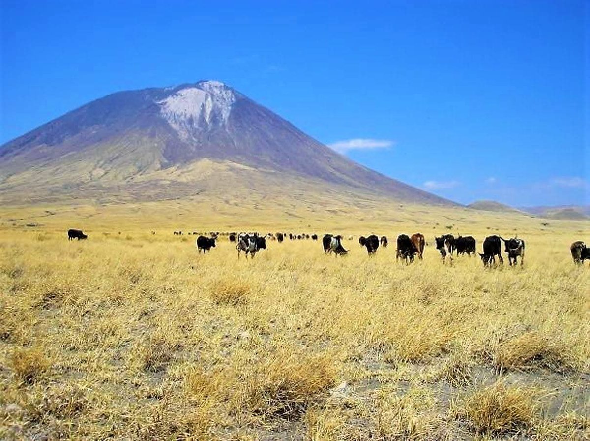 Sam Watson tweet media