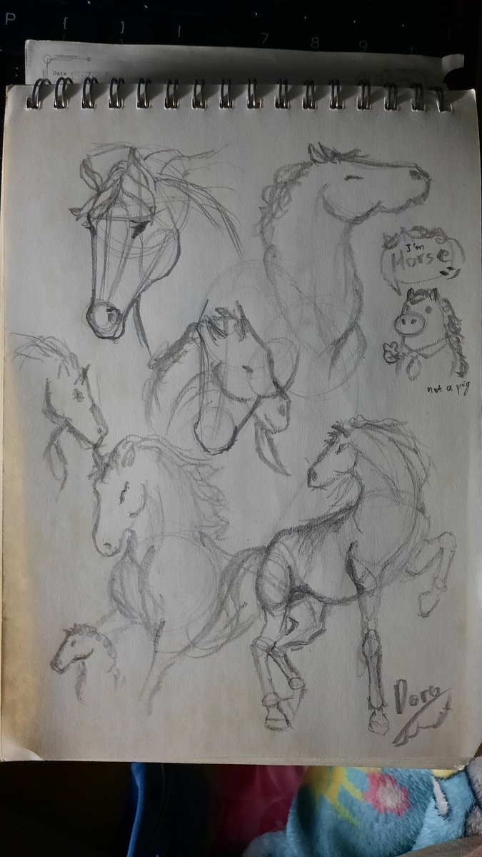 HiroD1581's tweet photo. Practice, Practice, Practice 
Horse Horse Horse Horse Horse Horse.

#horsesketch #sketchpractice #anatomystudy #gesturestudy
#traditionalart #pencildrawing #sketchbook #artpractice
#yearofthehorse #vietnameseartist https://t.co/I2FV2sUMsm