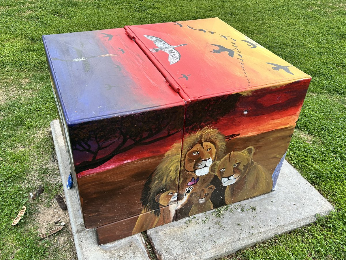 Occitania32's tweet photo. These utilities boxes are part of public art initiatives (“Utility Box Art Programs”) aimed at reducing graffiti and enhancing community aesthetics. Hand painted too. Lovely! 
#electric #utilitiesboxes #Arizona #originalart  #artprogram https://t.co/Qz0AIjGRzm
