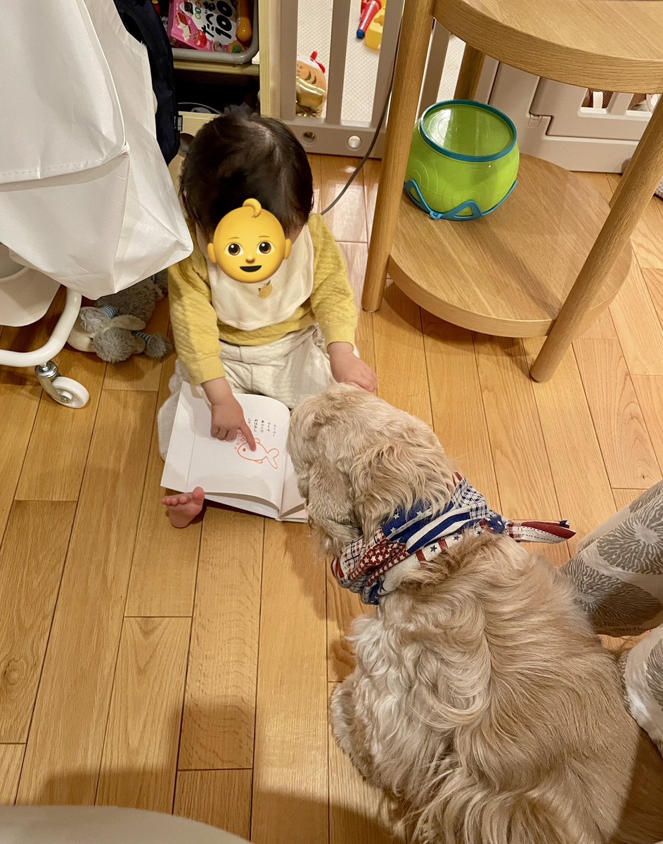 1歳に本を読んでもらう2歳🐶