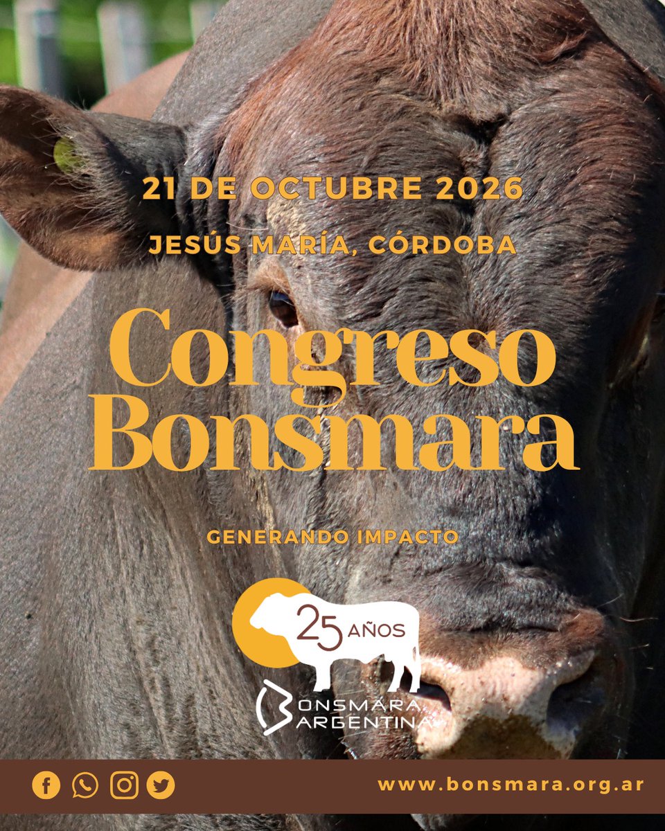 Asoc Arg Bonsmara tweet media
