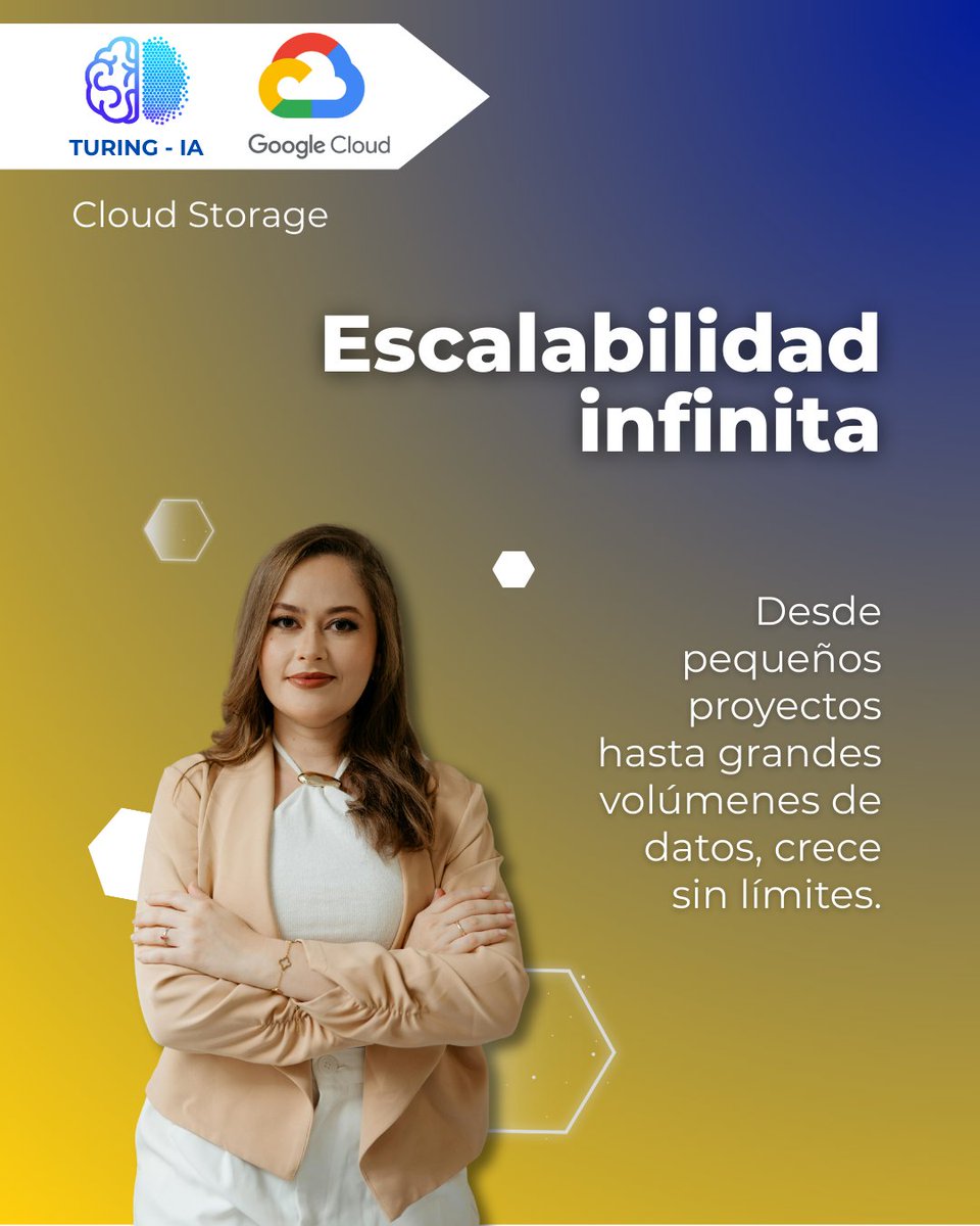 Turing-IA tweet media