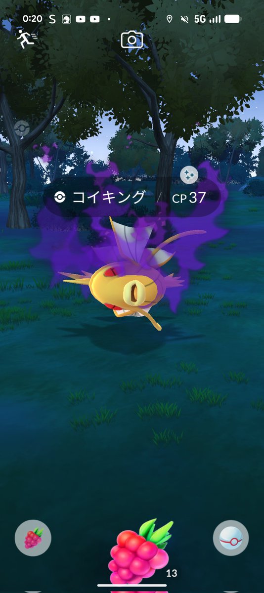 毎日ポケモンGO！宮崎 tweet media