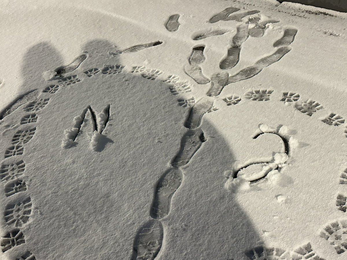 noidff's tweet image. 