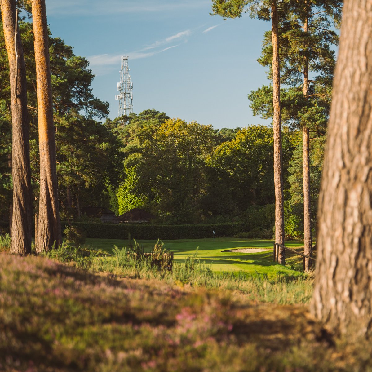 Farnham Golf Club tweet media