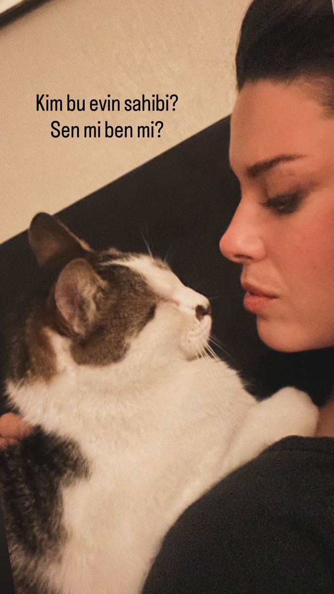 Kedisi olan anlar…