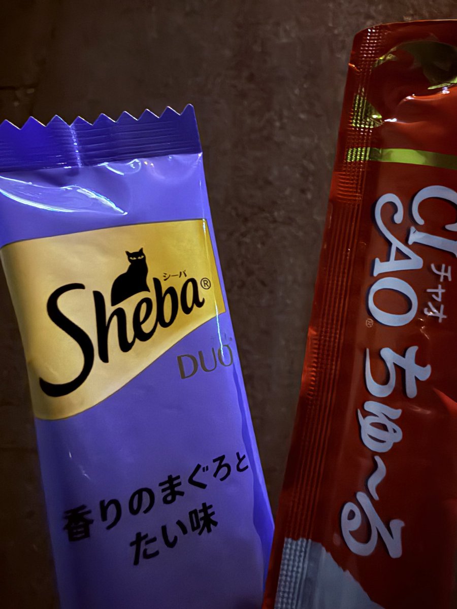 1月22日木曜日 ④英会話 Speak継続 ⑦ドル円 FX➕ ⑧作業 ①②作業初日 明日から今月いっぱいは 英語に注力_φ(・_・