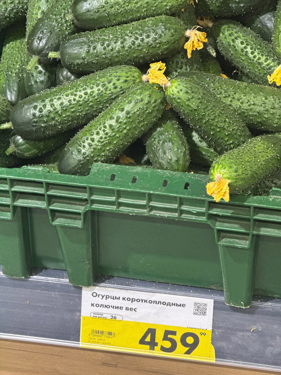 ВЫЫЫЫ ЕБАНУТЫЫЕЕЕ?????? почти 500₽ за огурцы у которых даже нет вкуса огурцов?????