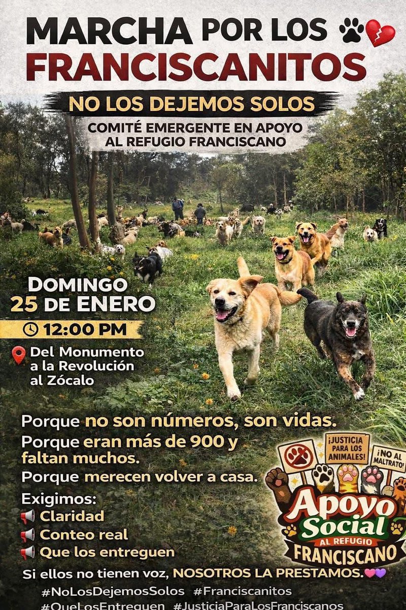 Más voces se unen en defensa de los franciscanitos. <a href="/Ref_Franciscano/">REFUGIO FRANCISCANO AC</a> 

“No apagaron al refugio, encendieron la voz de un movimiento”.