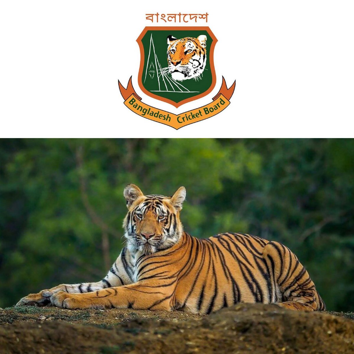 For the First time BCB Behaved like Tiger, Hopefully Tiger is Happy 
✊🏻✊🏻✊🏻