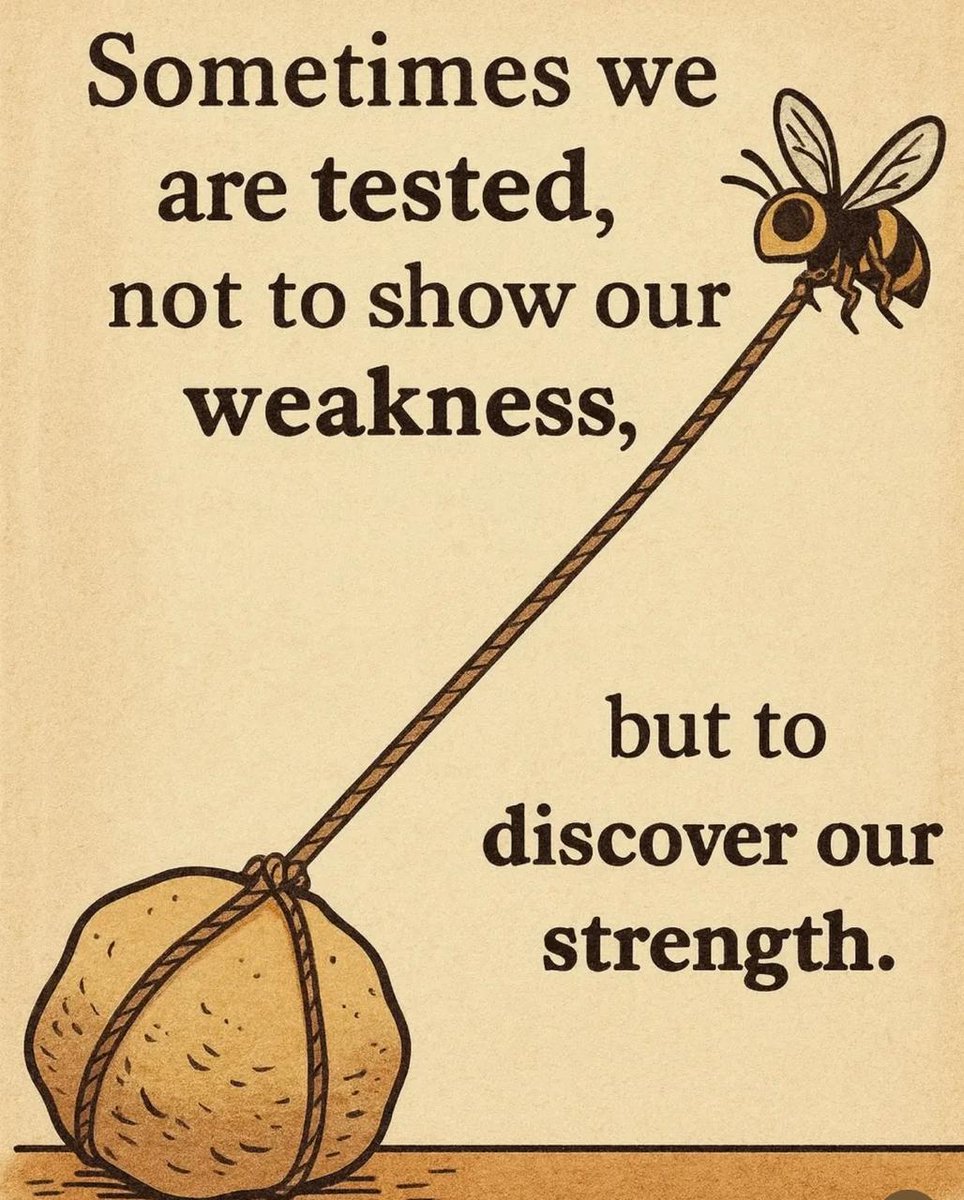 lawofthoughts's tweet image. 