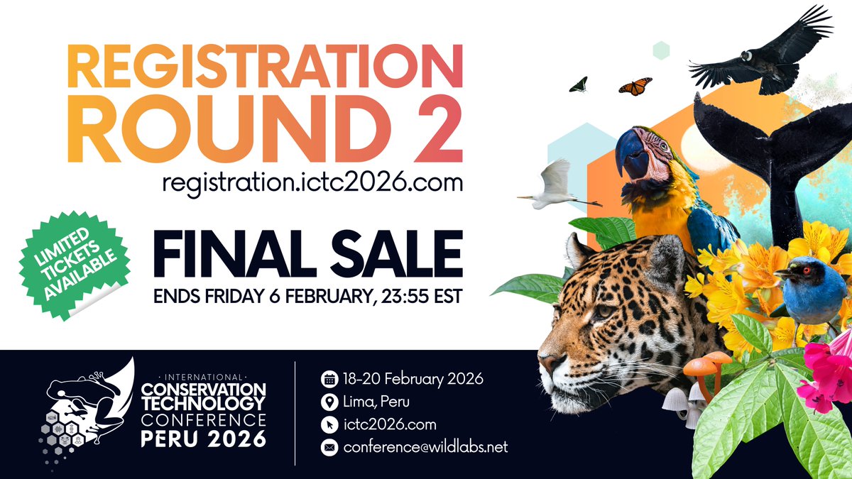 WILDLABSNET's tweet photo. Last chance to join #ICTC2026 in Lima next month!โฐ
๐๏ธFinal round of registration is now open through February 6, with 250 tickets remaining
๐Register now: https://t.co/ANrSwsbTM4
#ConservationTech #conservation #tech4wildlilfe https://t.co/i9dyC0EOuE