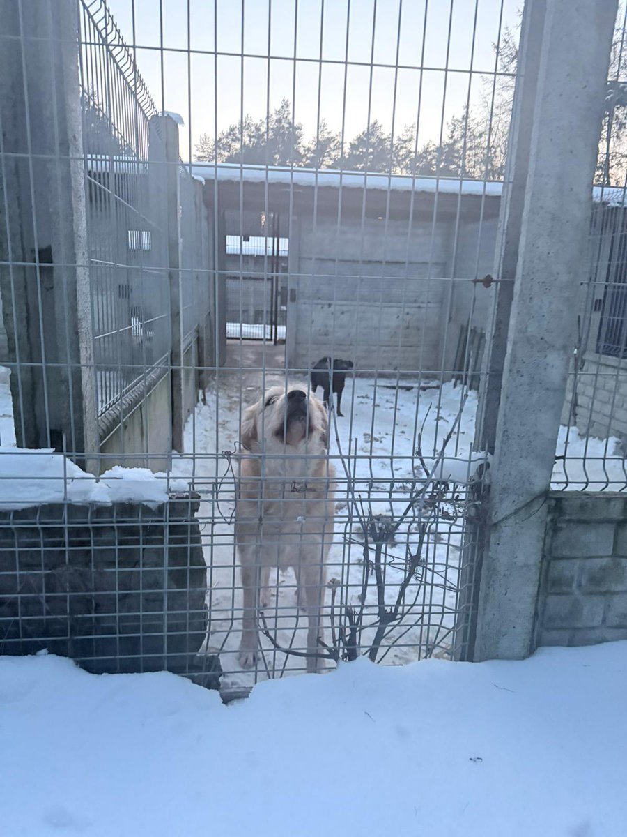 Karolina Gałecka tweet media