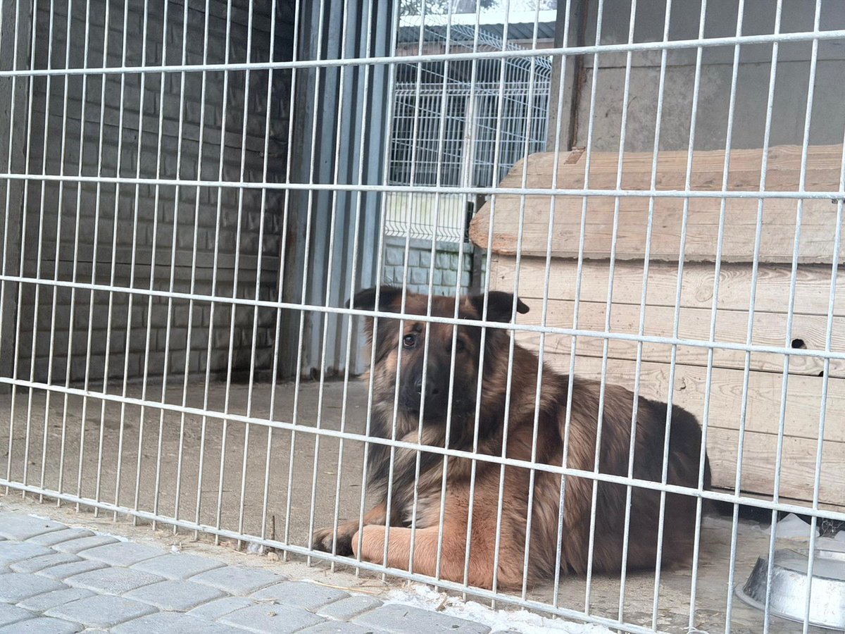 Karolina Gałecka tweet media