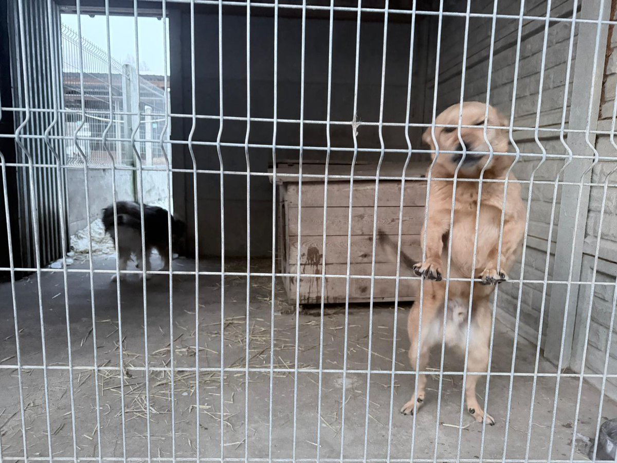 Karolina Gałecka tweet media