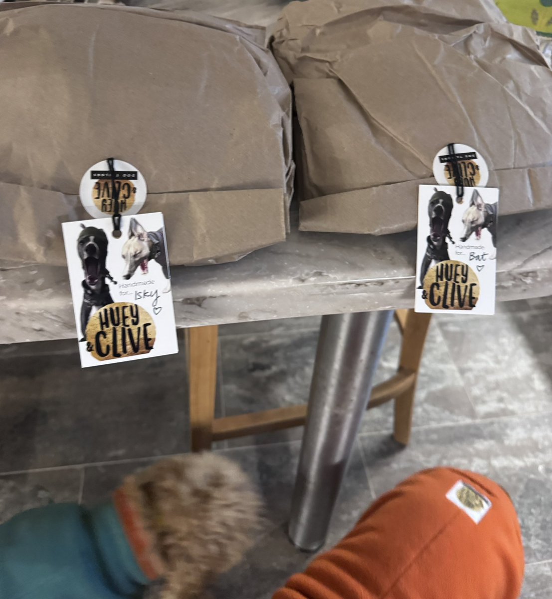 SpanielsSuper's tweet image. Ooooooooh look?

A surprise delivery for us from @HueyandClive 

Come on mum ….  #OpenThem #HurryUp
We’re so excited 😆