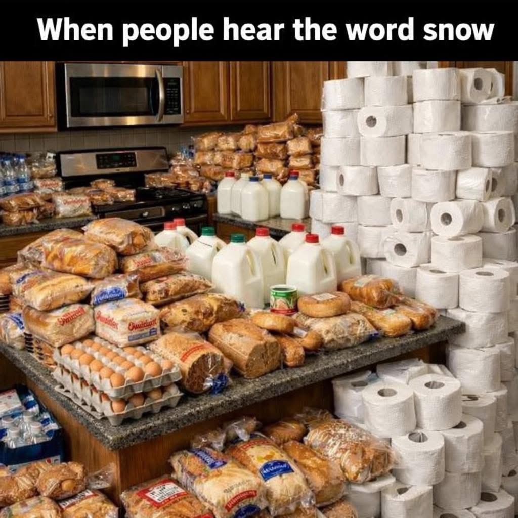 washghost1's tweet image. Everyone this weekend