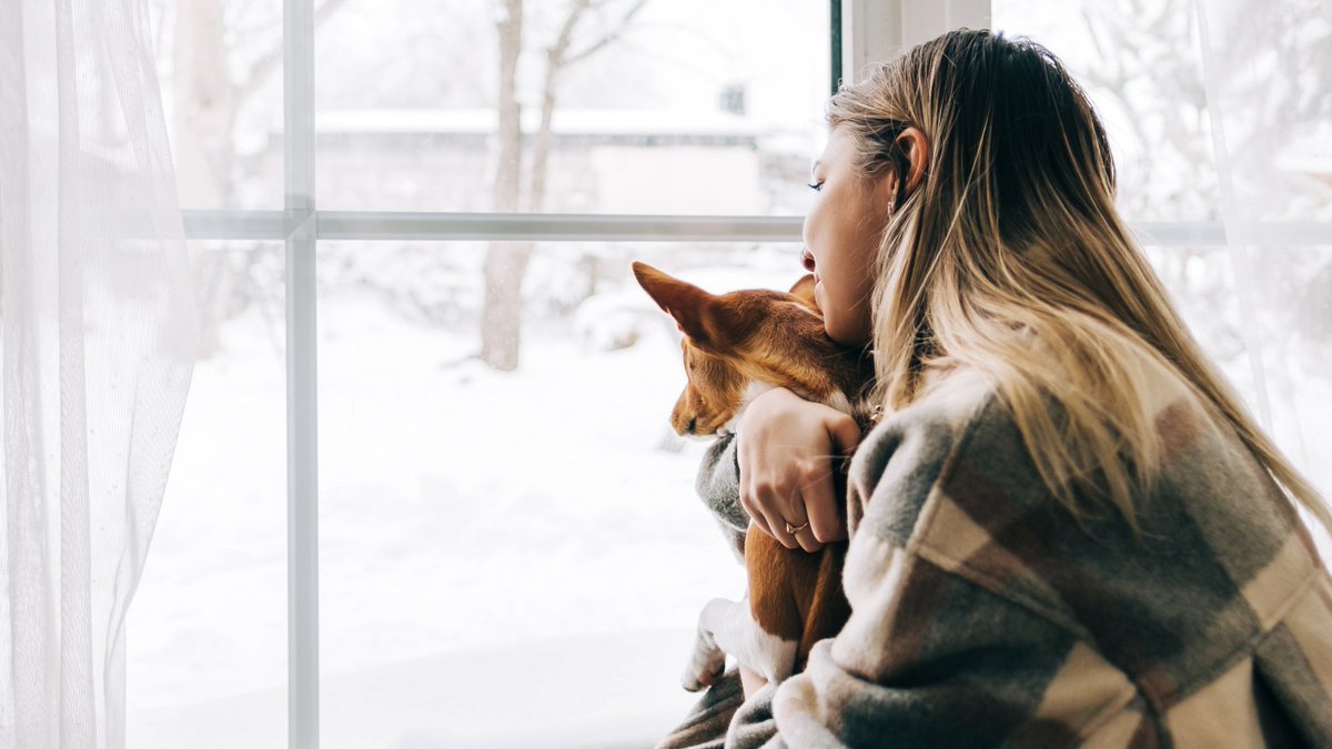 American Humane Society tweet media