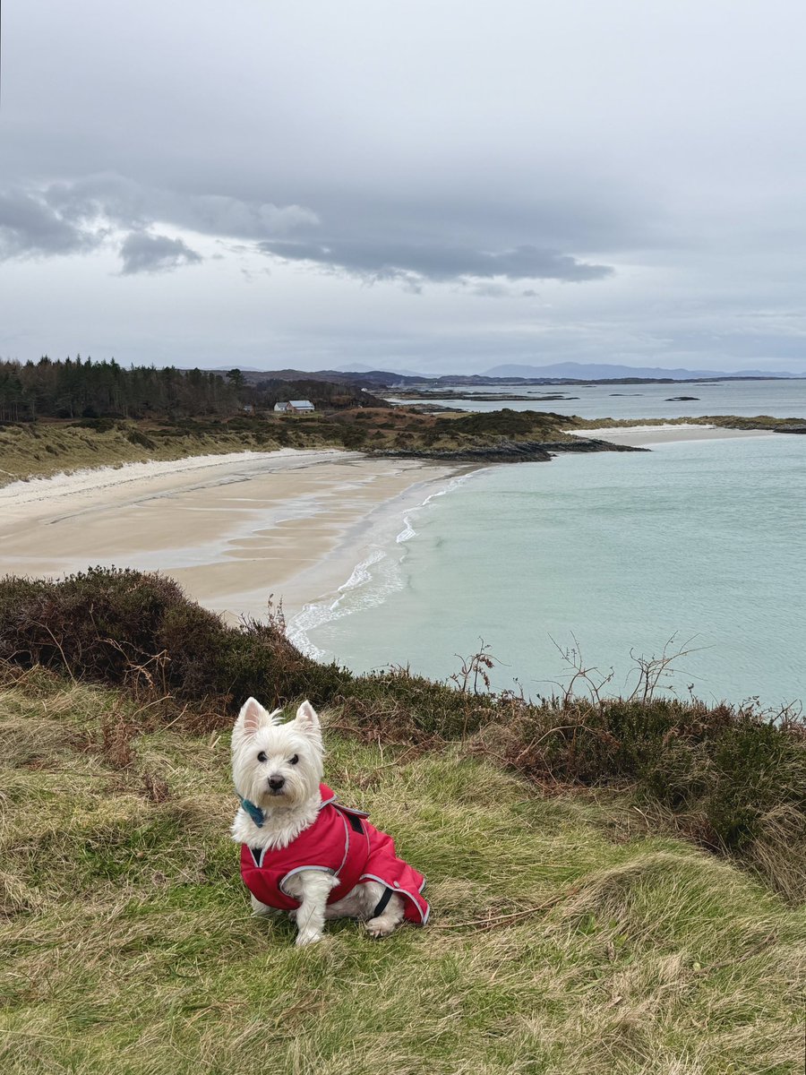 THESE, January blues I welcome. 🩵🌊 

The beach is Camusdarach in Lochaber- a region with more stunning beaches than you can shake a stick at. It features in the iconic 1980s move Local Hero starring Burt Lancaster. It’s where Ben’s beach shack was located. #scotland