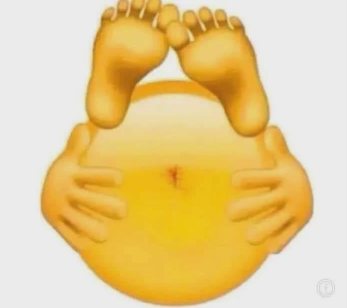 Oso Velludo tweet media