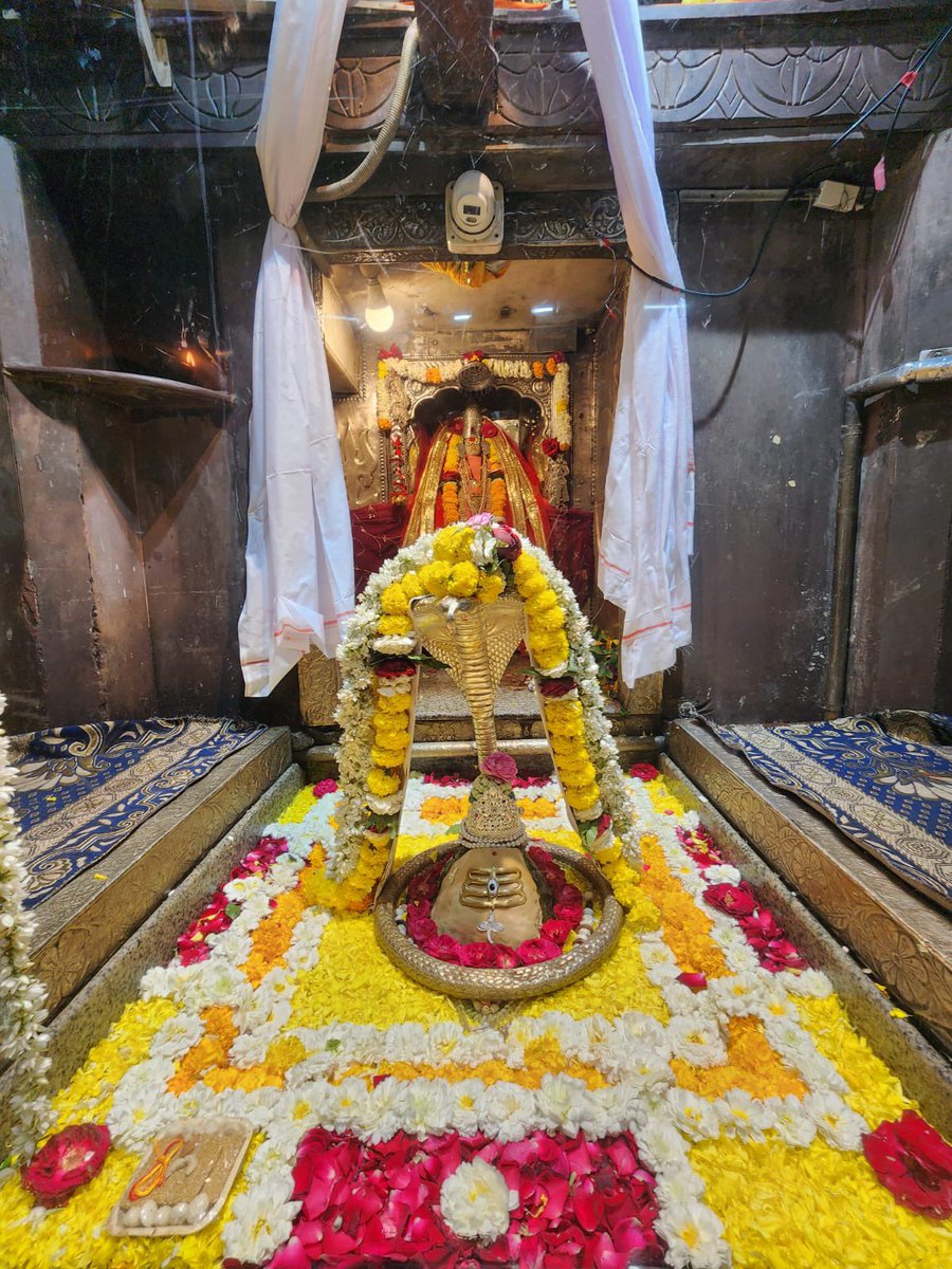 12Jyotirling's tweet photo. श्री ओम्कारेश्वर ज्योतिर्लिंग जी के आज के संध्या कालीन आरती के दिव्य श्रृंगार दर्शन 22.01.2026 https://t.co/d2ZmsUm4QI