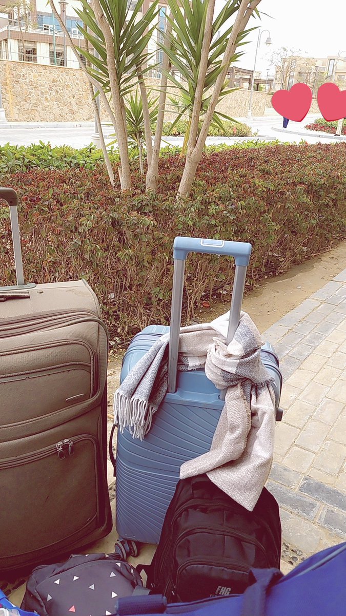 Roza 🫷🏻 tweet media