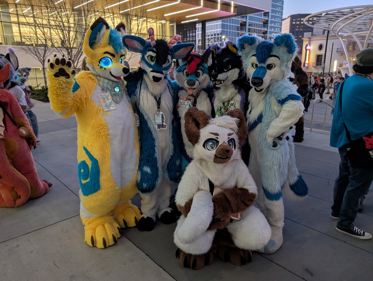 Blazi Wolf tweet media