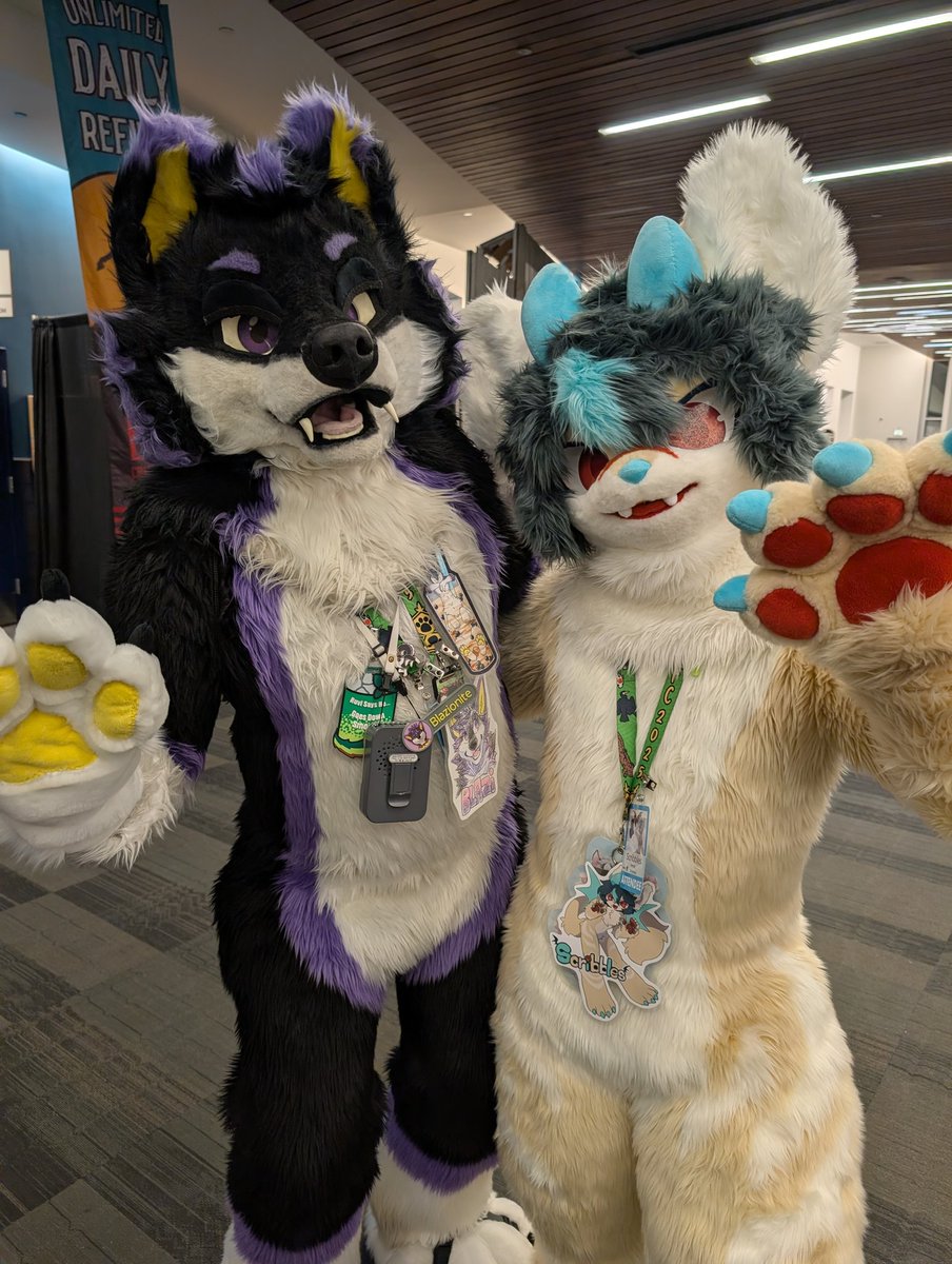 Blazi Wolf tweet media