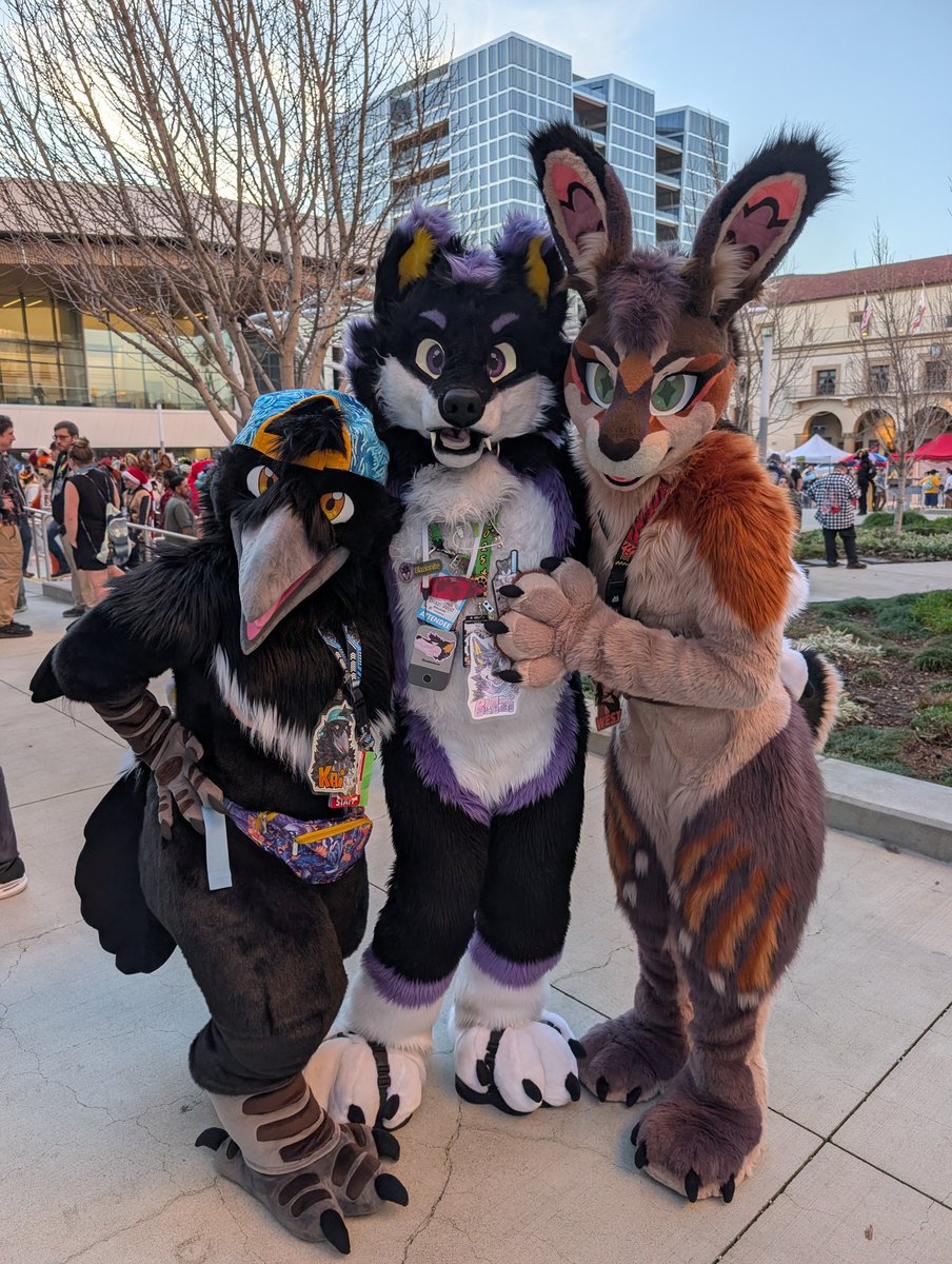 Blazi Wolf tweet media