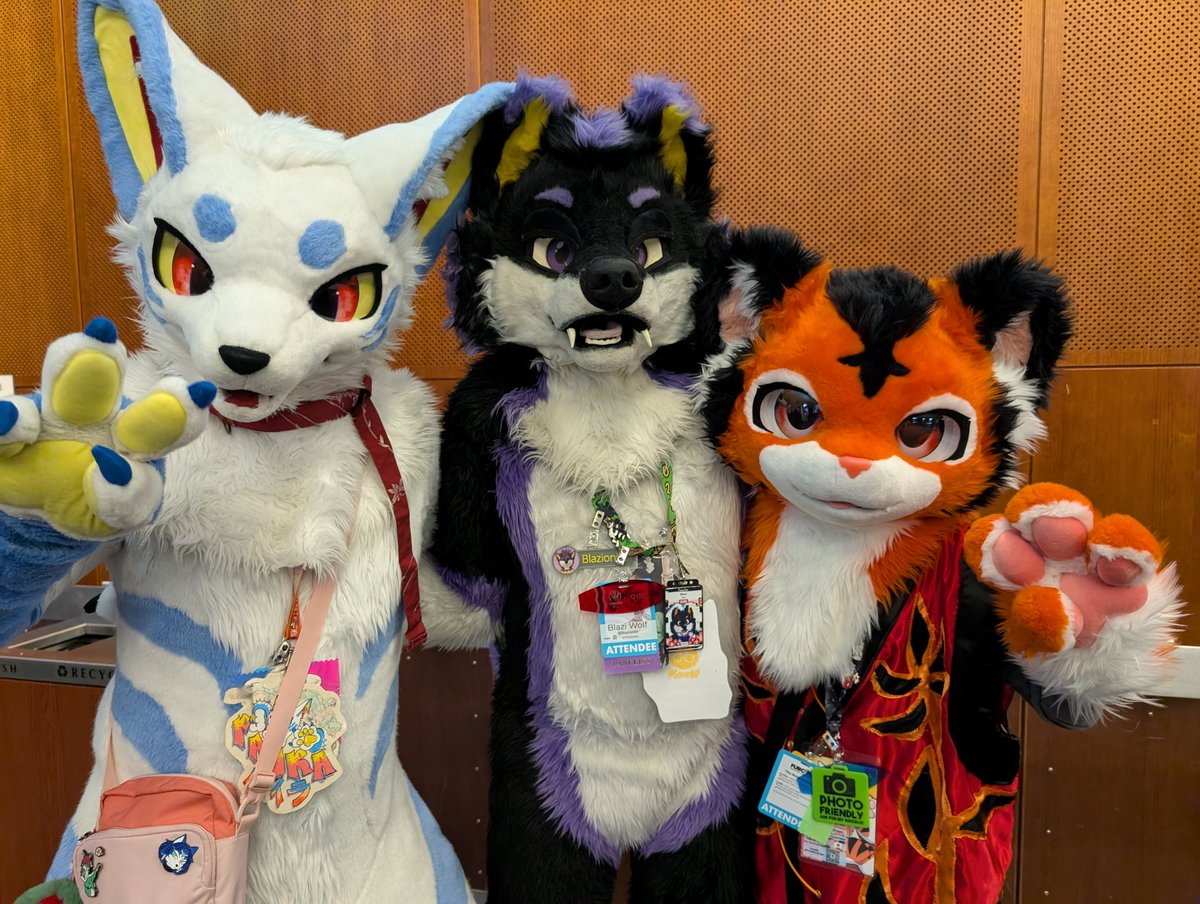 Blazi Wolf tweet media