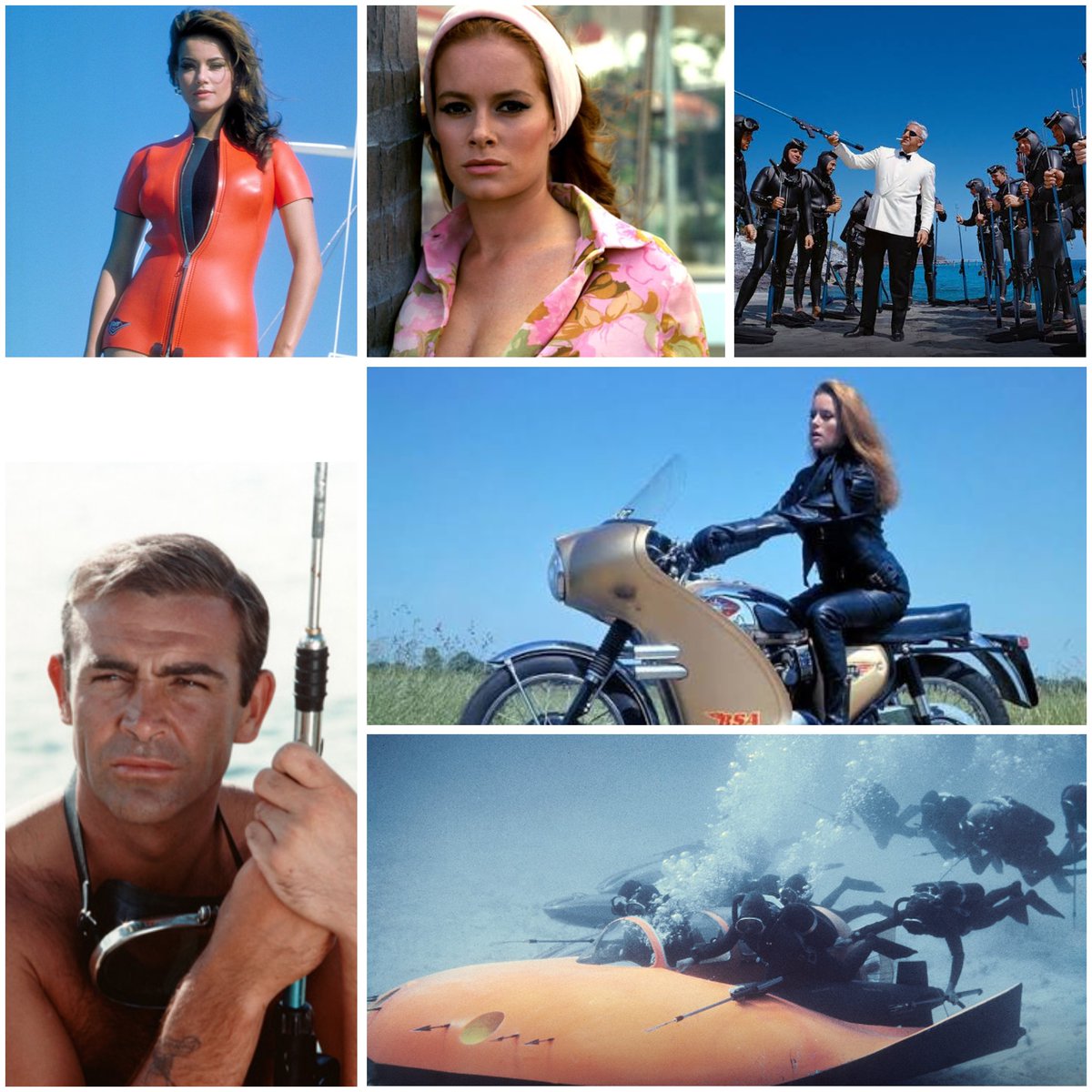 Licence to Tweet tweet media