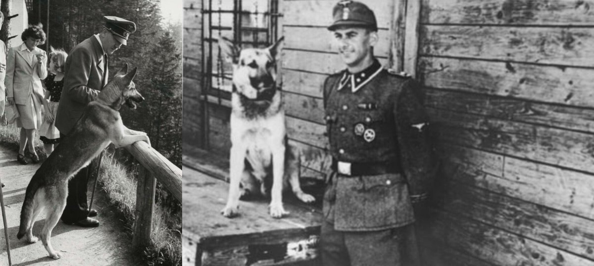 Sol00073's tweet image. No es "un puto perro", hasta los nacionalistas lo sabían y lo apreciaban