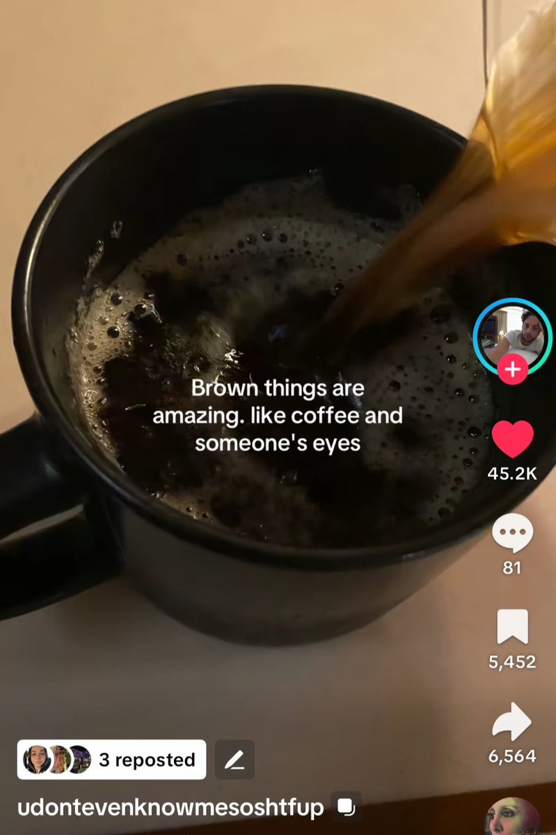 cdoll's tweet image. 