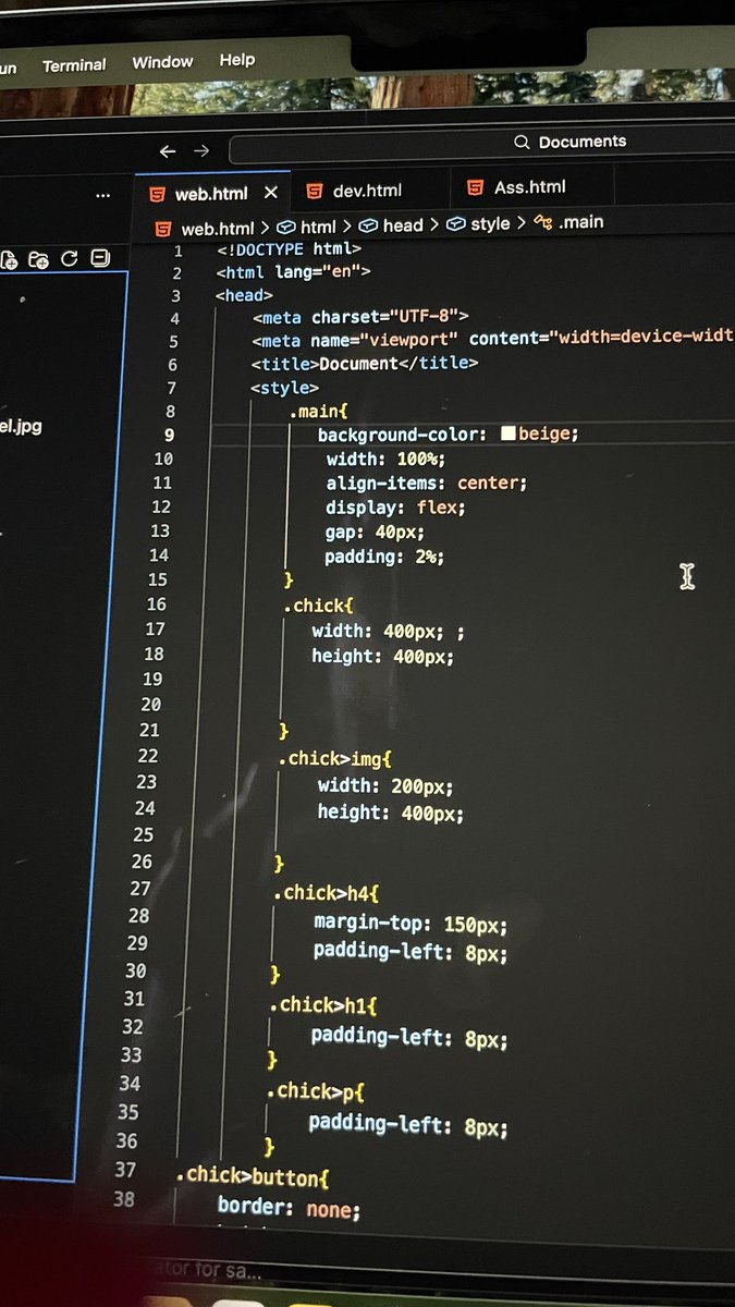NiqBio's tweet photo. Started learning CSS
It will definitely gets better ✨😊 https://t.co/6s9YPtuWh6
