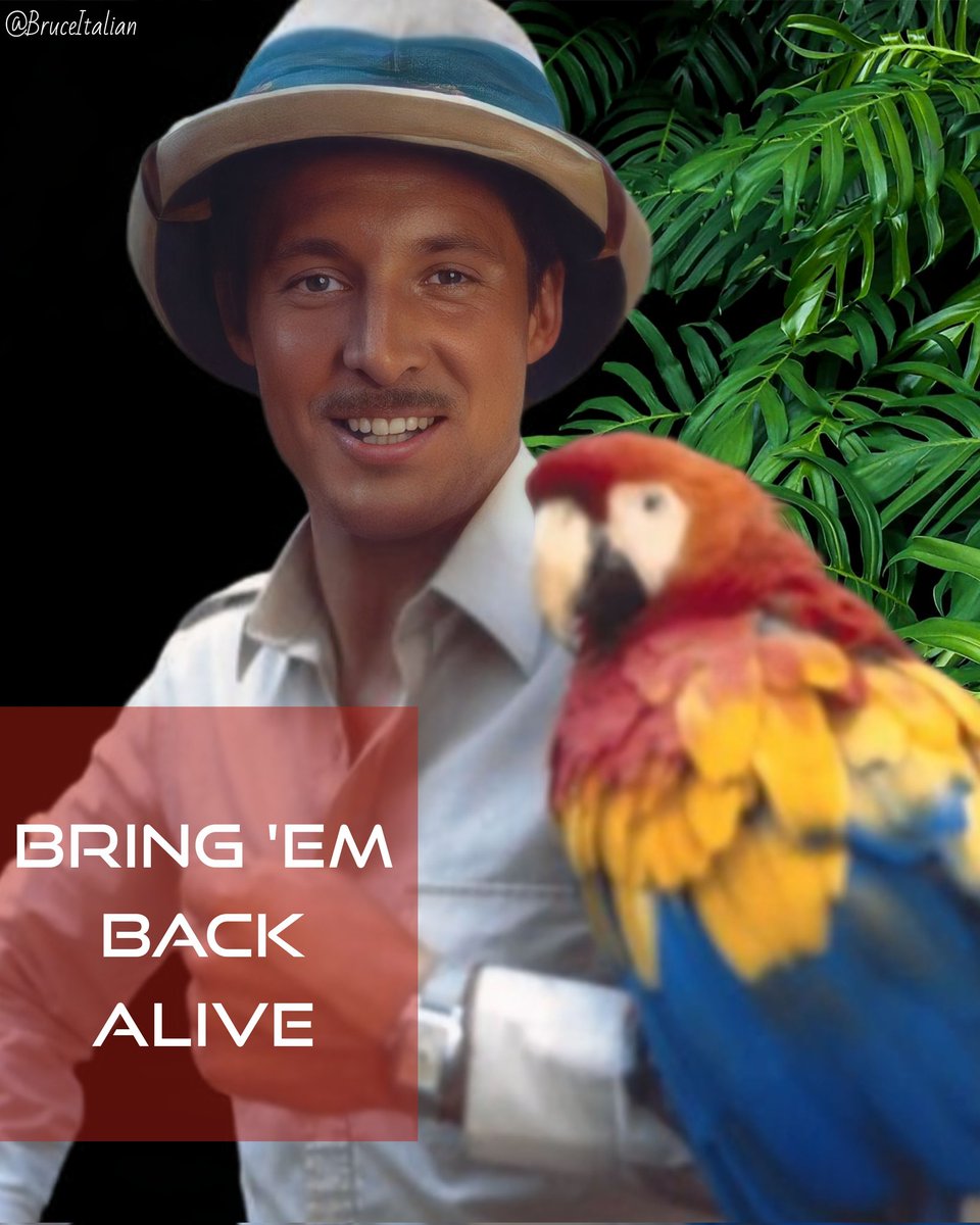 BruceItalian's tweet photo. Frank Buck ππ
#BringEmBackAlive #CBS
#BruceBoxleitner #FrankBuck
#adventure #TVseries #80s
#Singapore #RafflesHotel https://t.co/LDoXfuaKtT